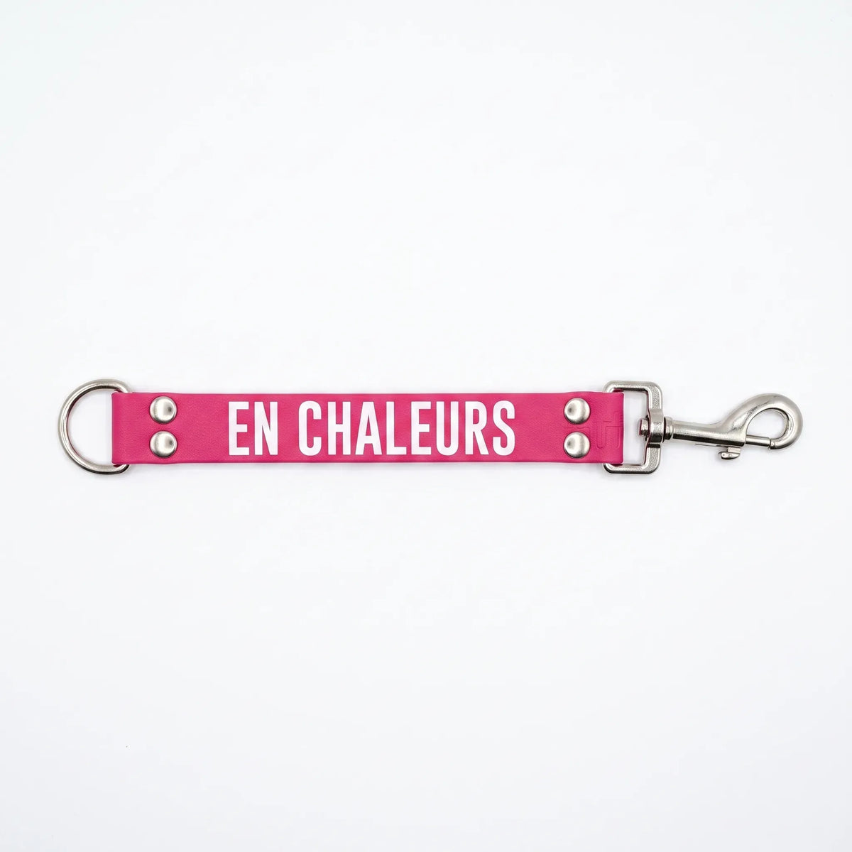 DogTalker EN CHALEUR