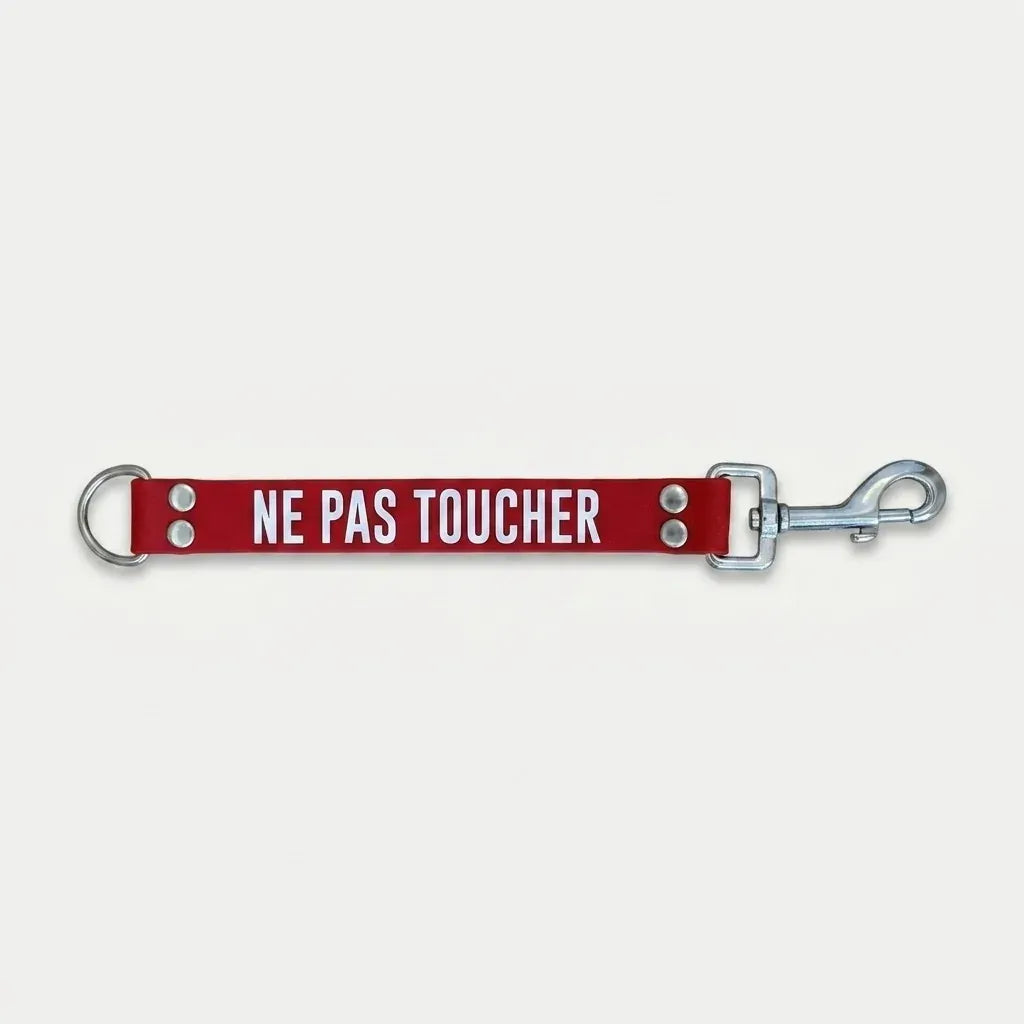DogTalker NE PAS TOUCHER