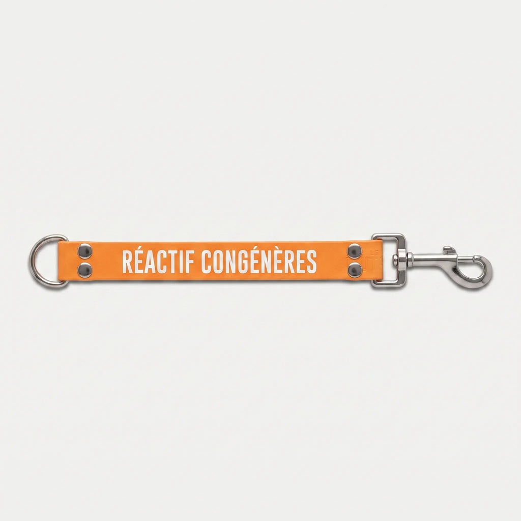 DogTalker RÉACTIF CONGÉNÈRE
