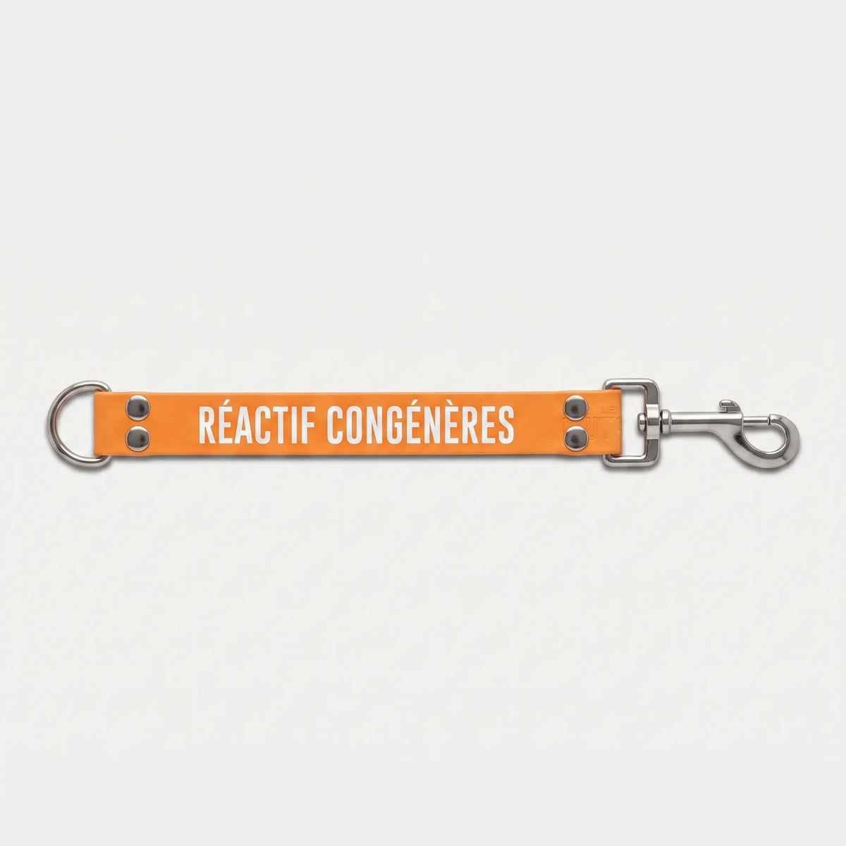 DogTalker RÉACTIF CONGÉNÈRE