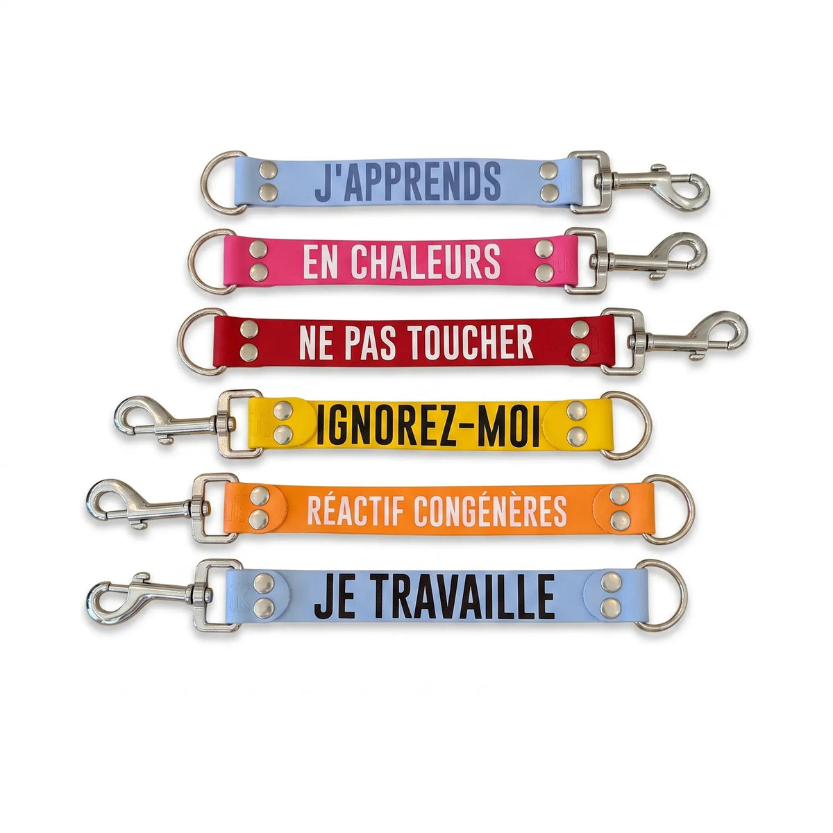 DogTalker NE PAS TOUCHER