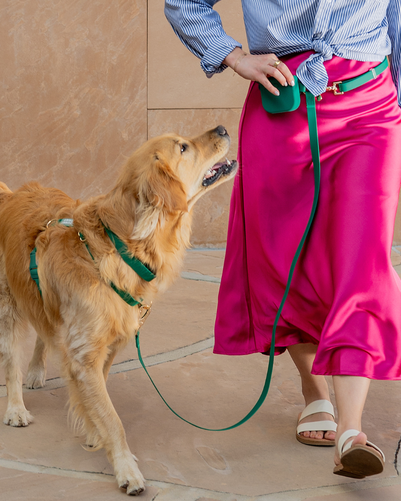 Harnais pour chien imperméable - Vert Sapin