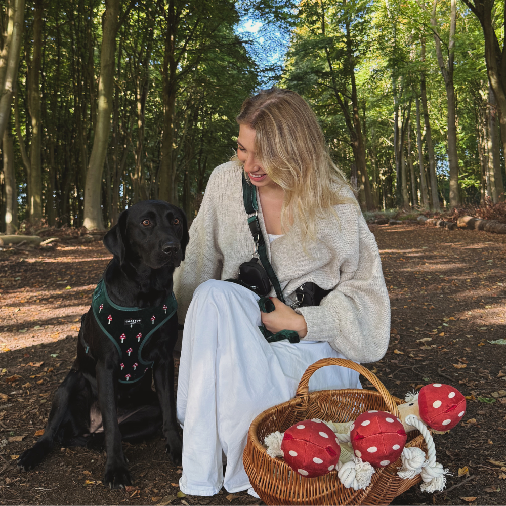 Jouet pour chien Toad