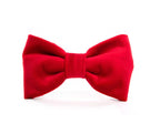 Nœud papillon pour chien en velours