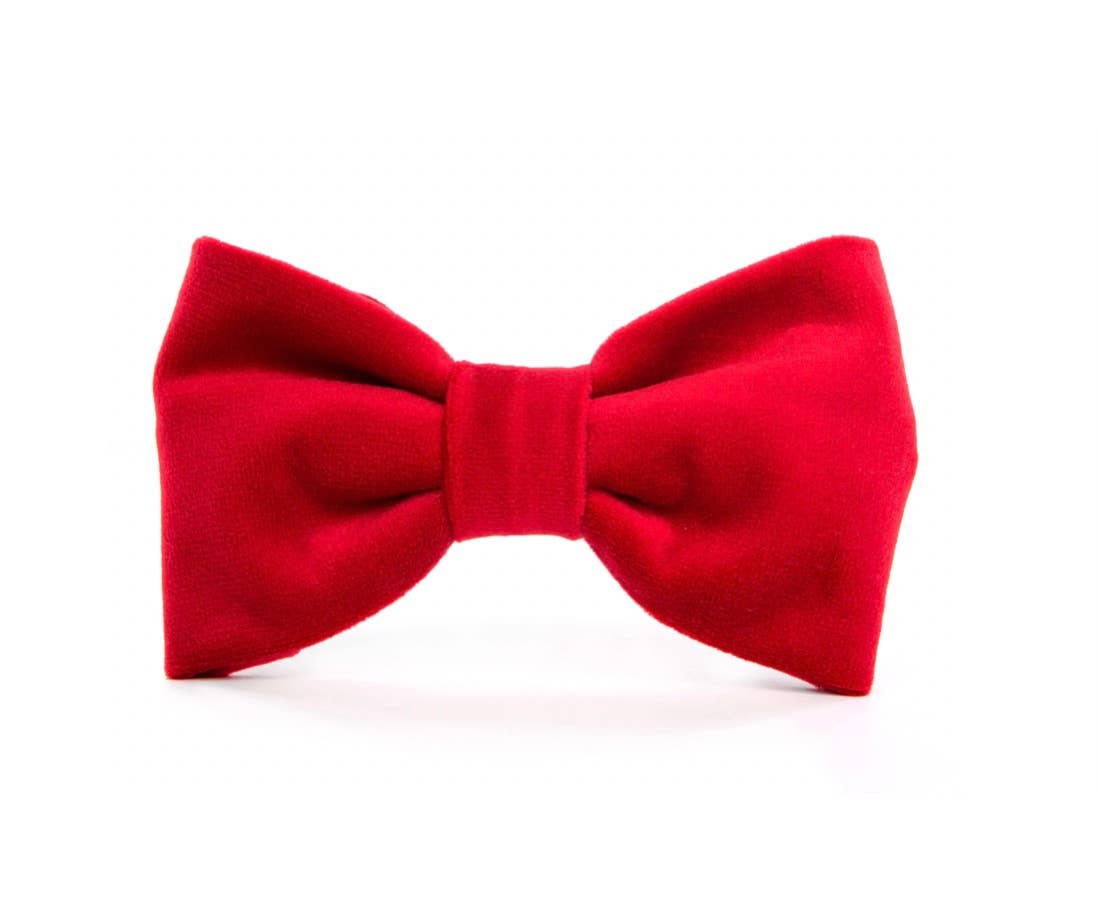 Nœud papillon pour chien en velours