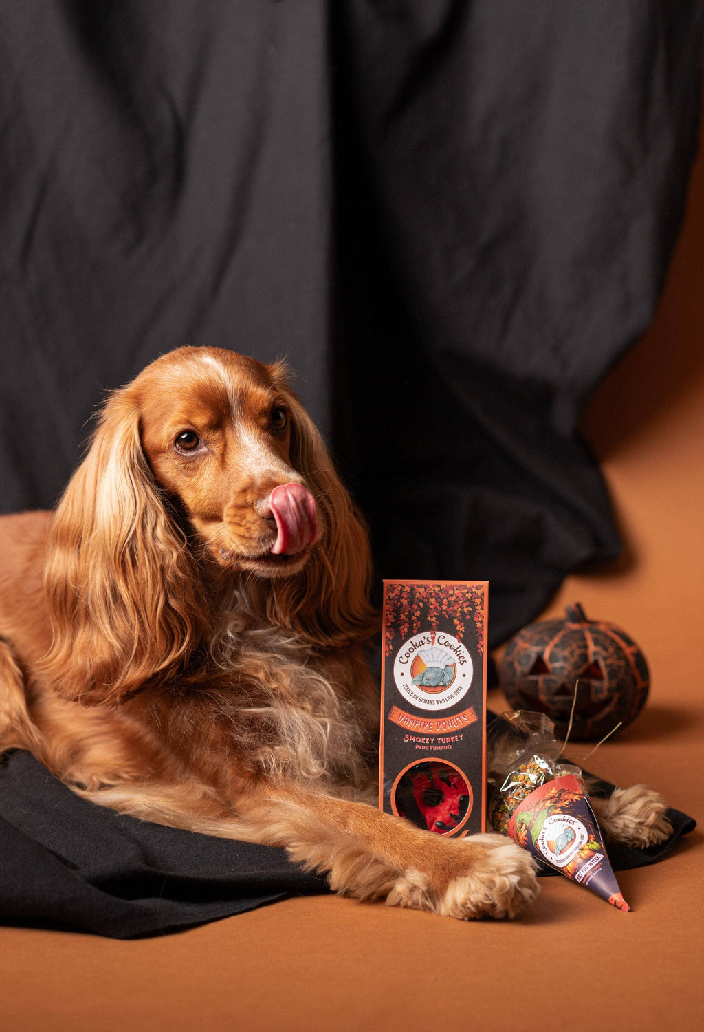 Beignets vampires - Friandises d'Halloween pour chien