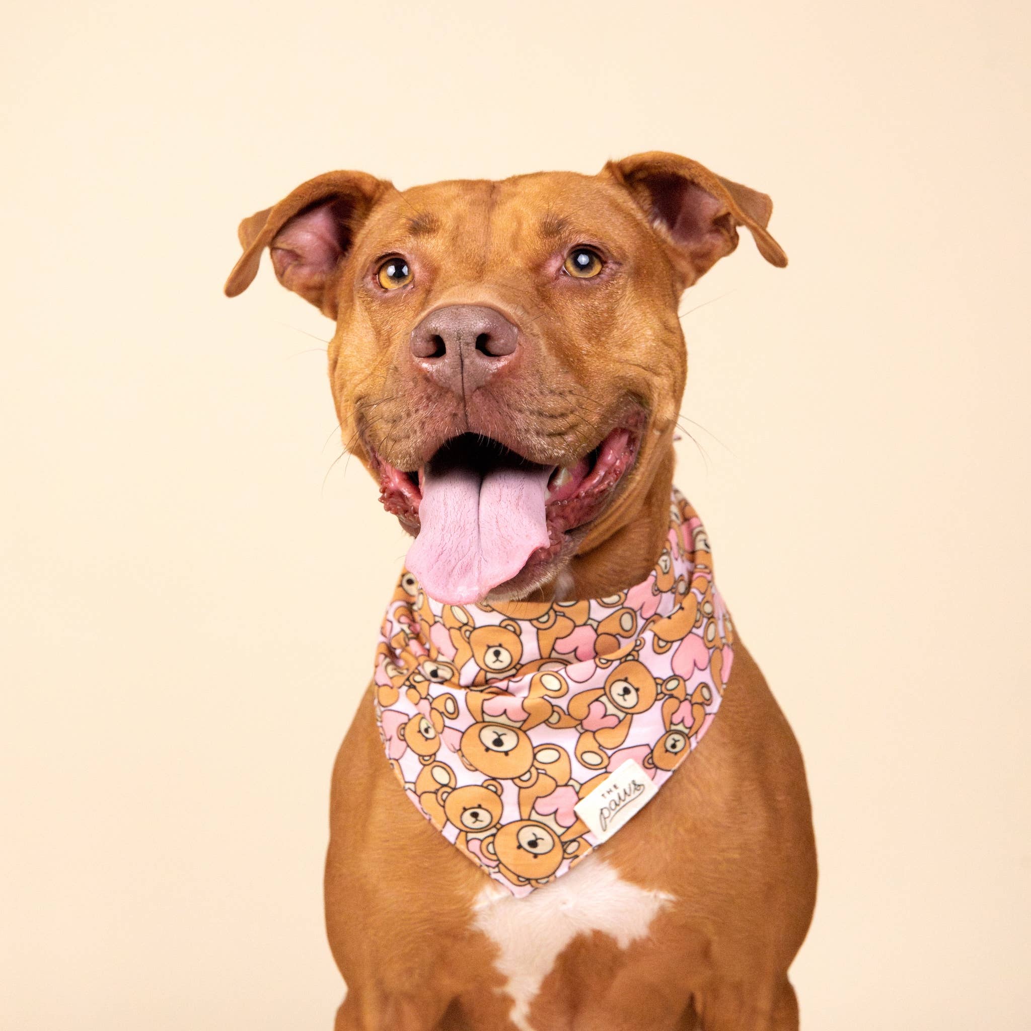 Bandana pour chien - Nounours rose