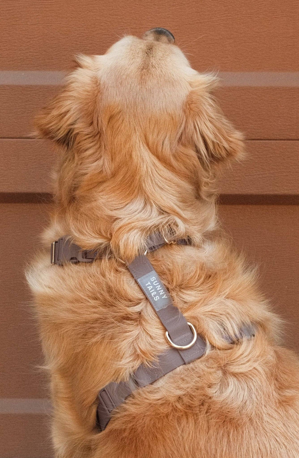 Harnais pour chien imperméable - Chocolat