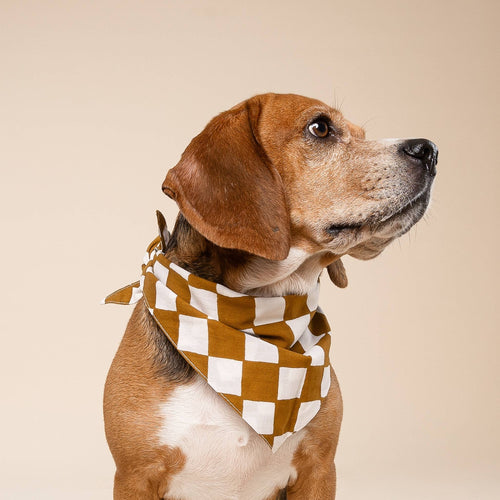 Bandana pour chien - Damier chocolat