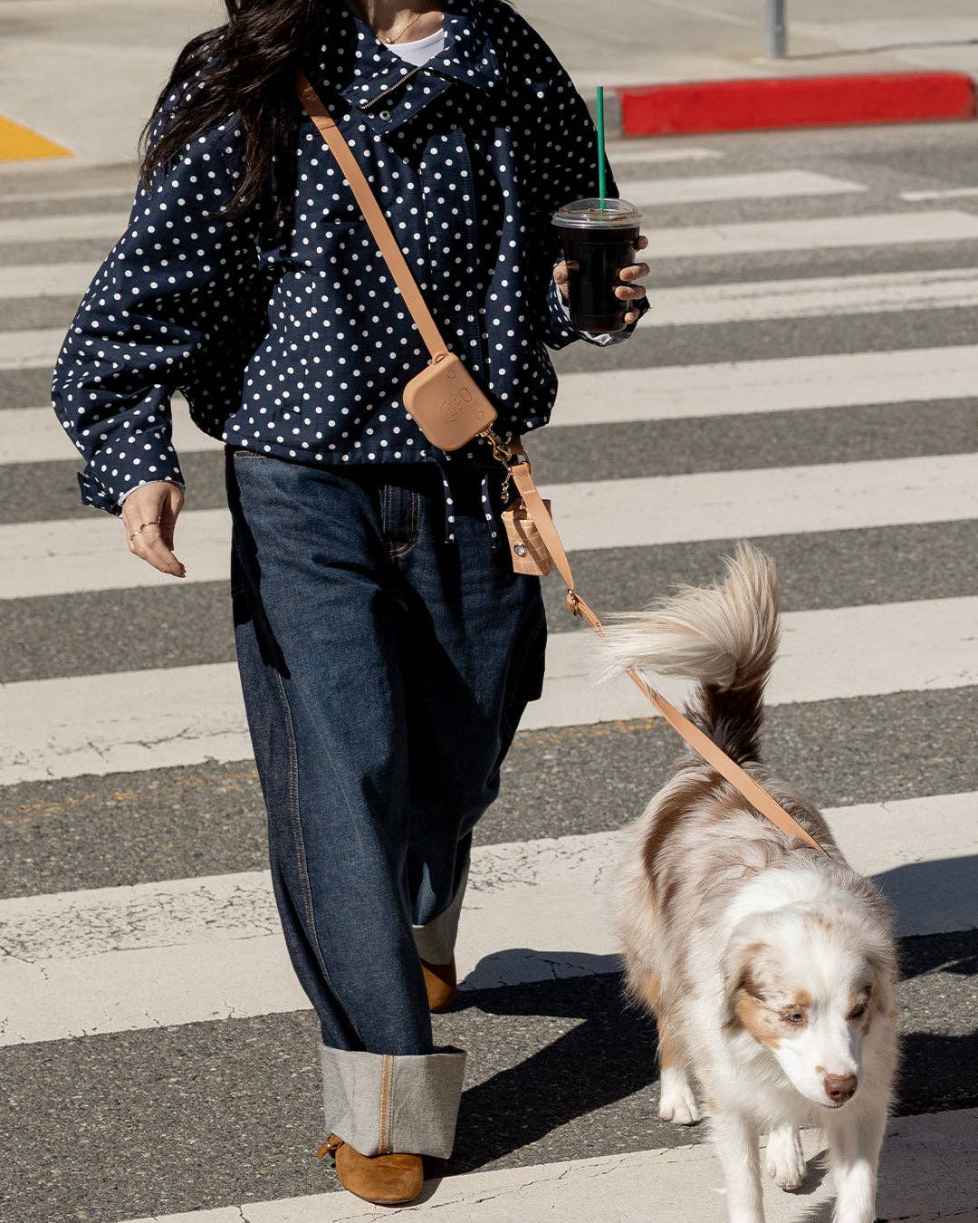 Harnais pour chien imperméable - Beige Latte