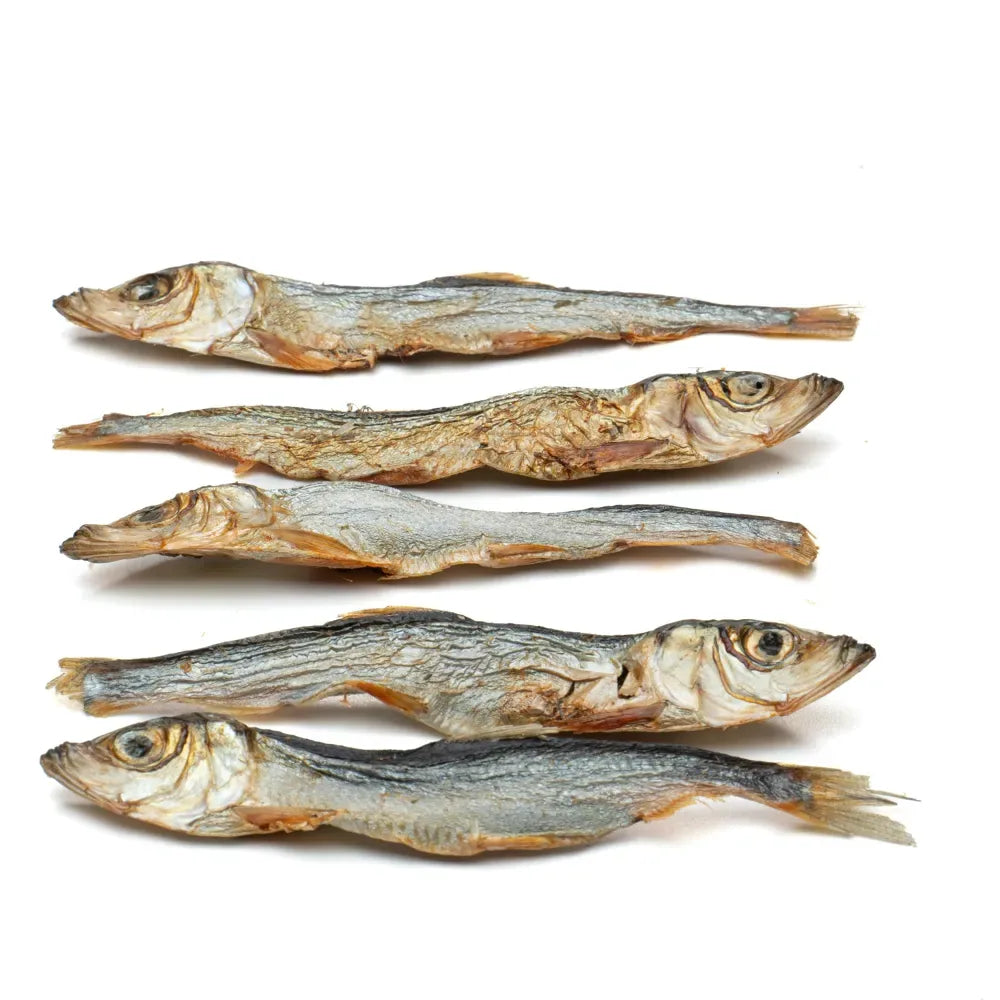 Friandises poisson séché - Hareng de la Baltique