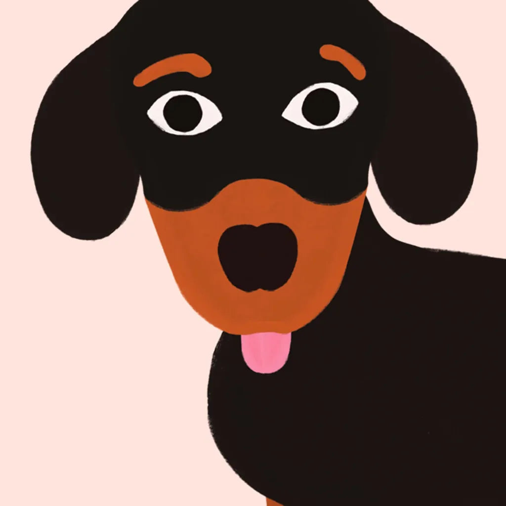 Éventail chien - Teckel