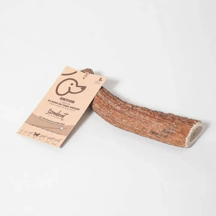 Bois de cerf entier à mâcher pour chien – EKTOR