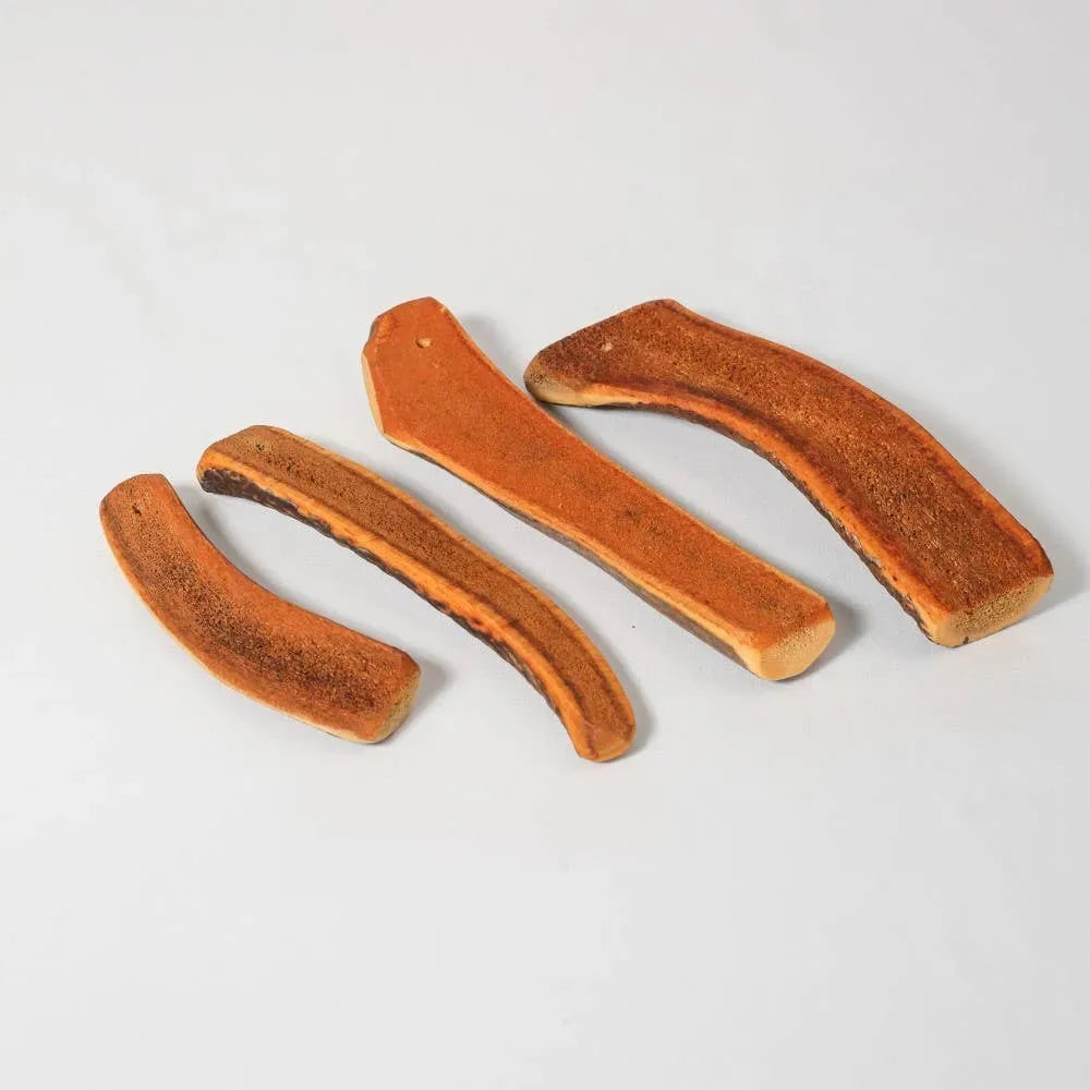 FANI - Bois de cerf biseau fumé au jambon