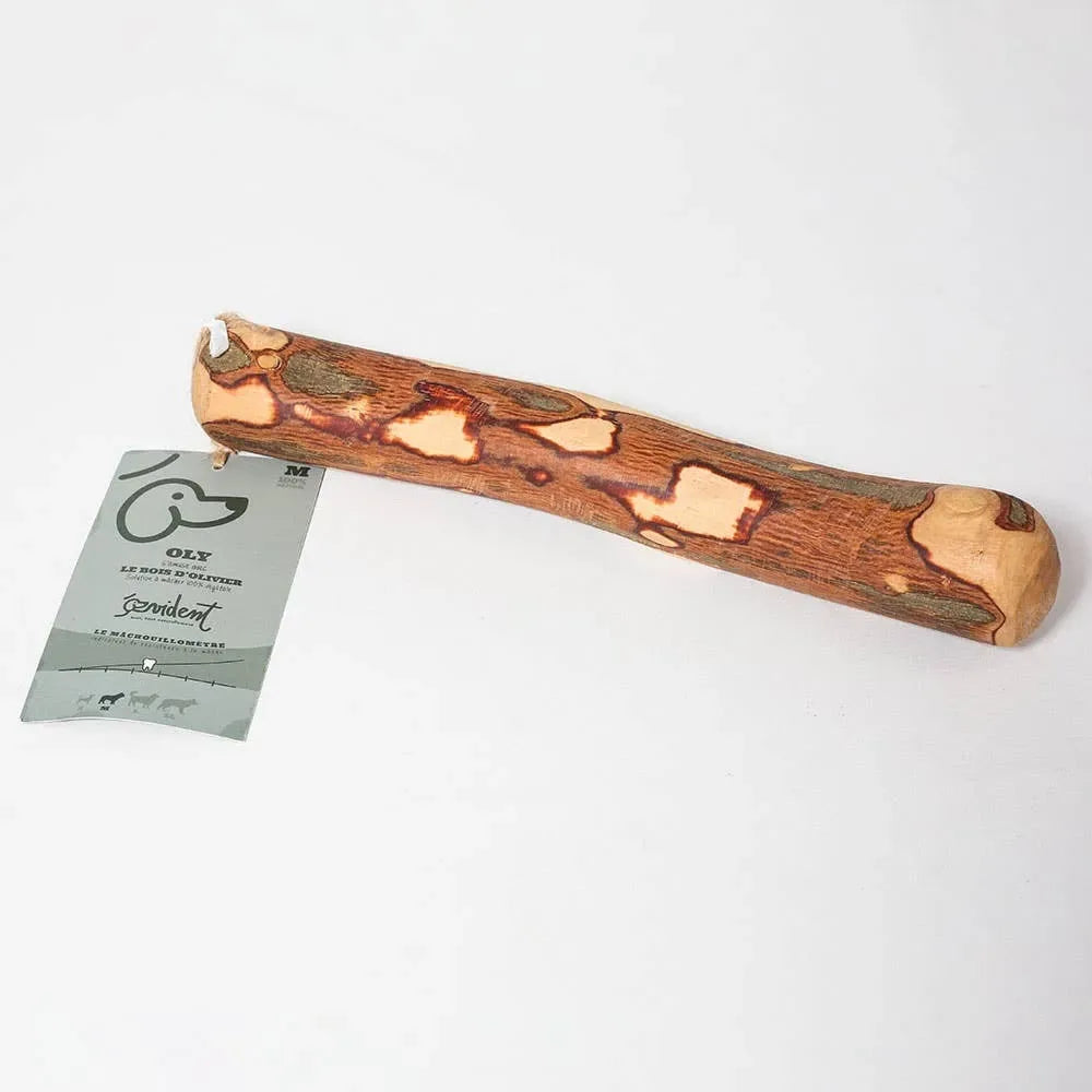 Bois d’olivier à mâcher pour chien – OLY