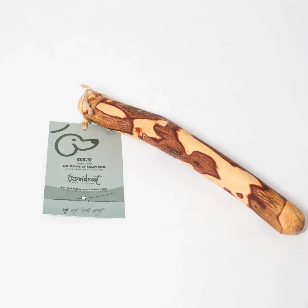 Bois d’olivier à mâcher pour chien – OLY
