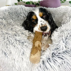 Bois d’olivier à mâcher pour chien – OLY