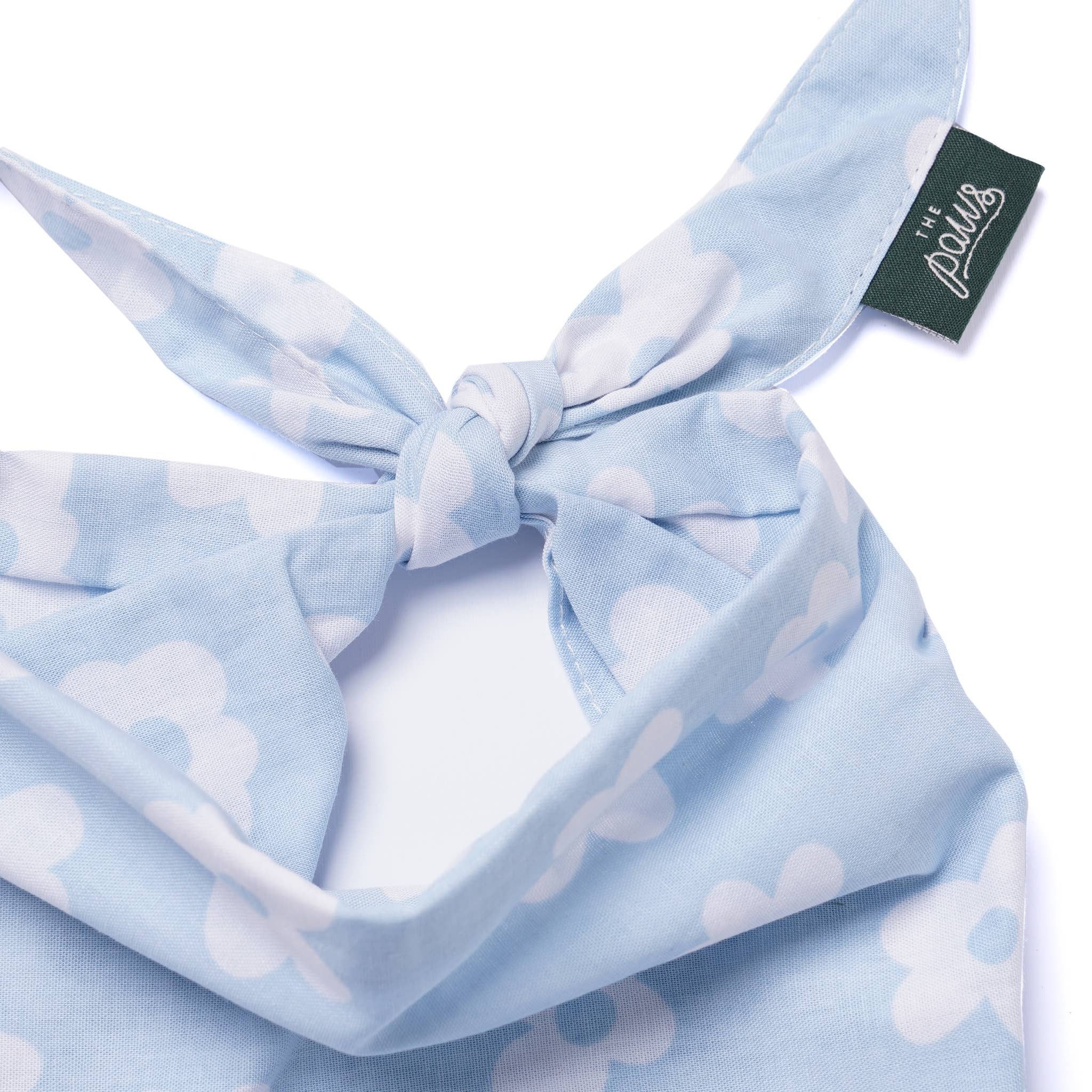 Bandana pour chien - Vichy bleu ciel