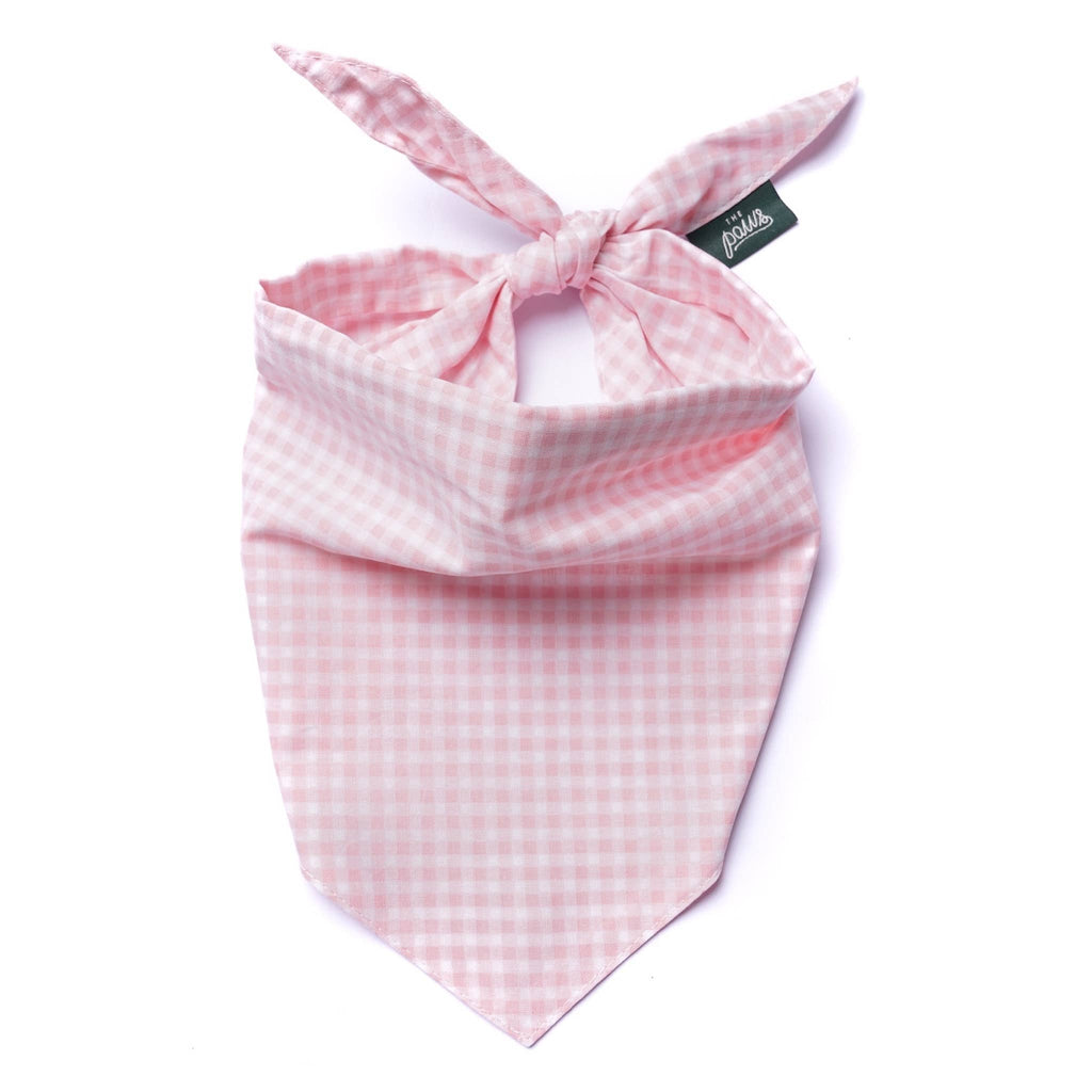 Bandana pour chien - Vichy Rose