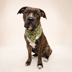 Bandana pour chien - Léopard kaki