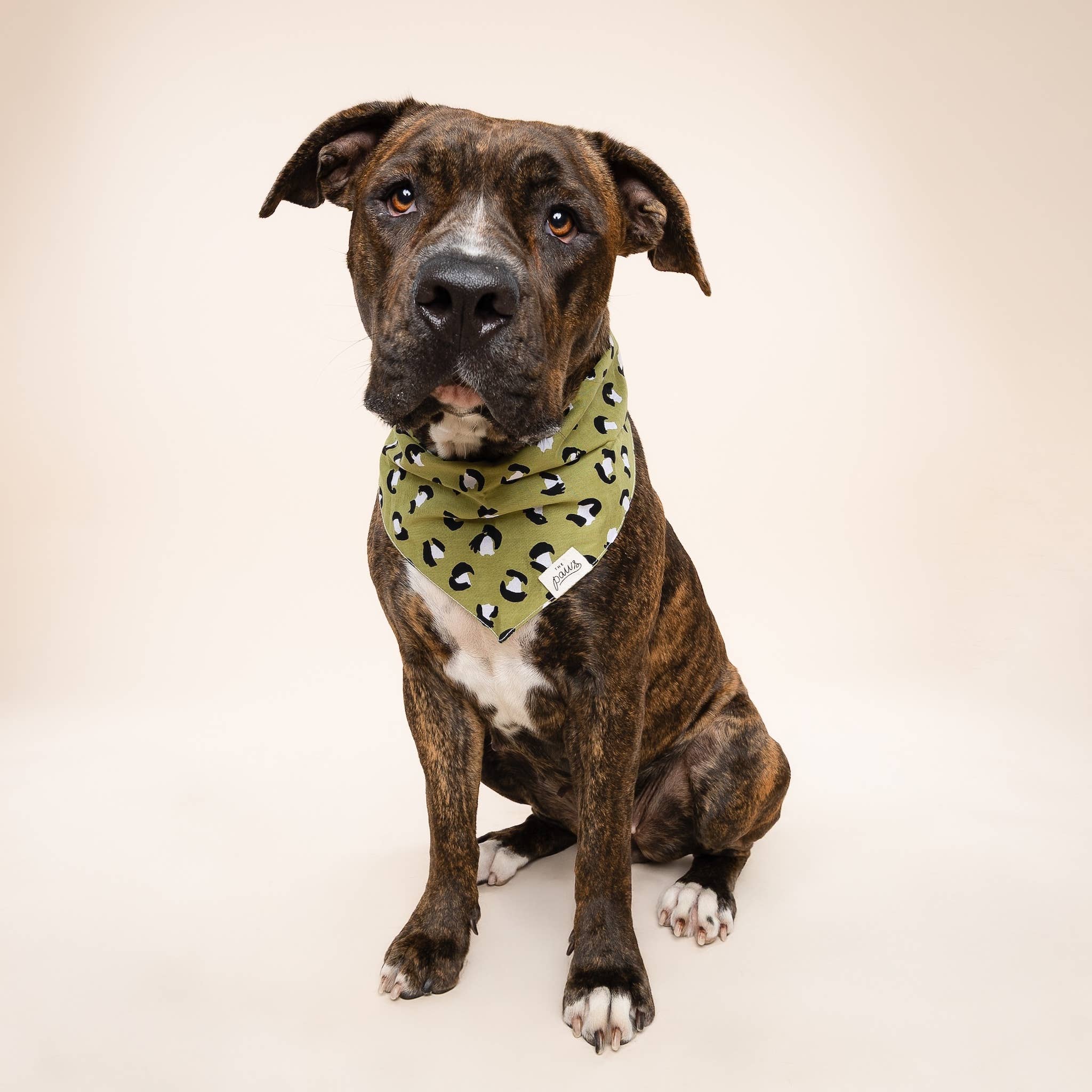 Bandana pour chien - Léopard kaki