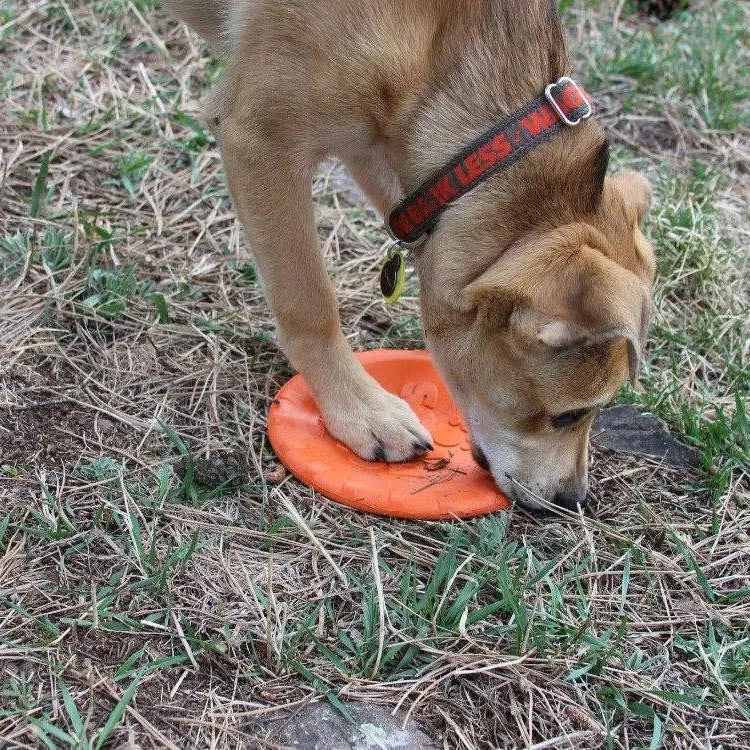 Frisbee en caoutchouc