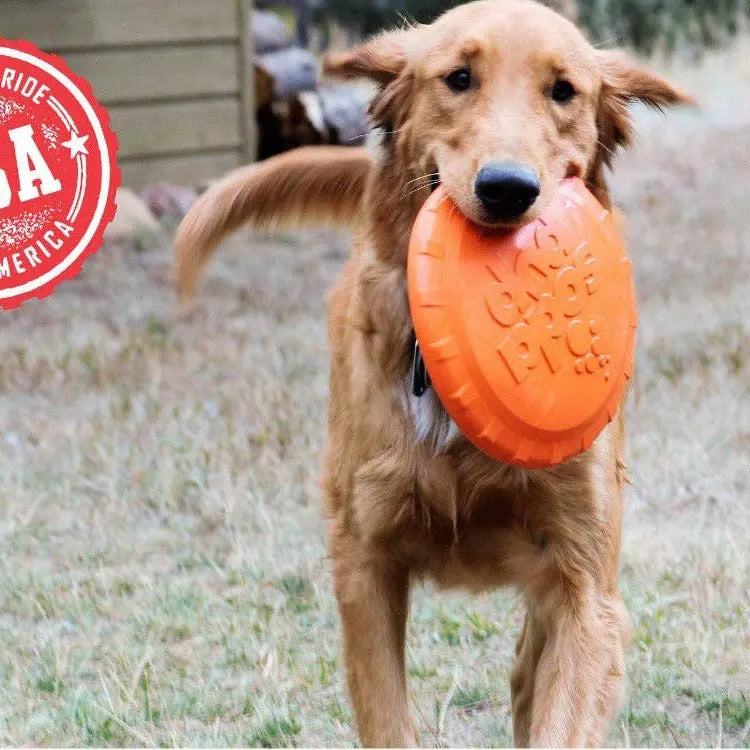 Frisbee en caoutchouc