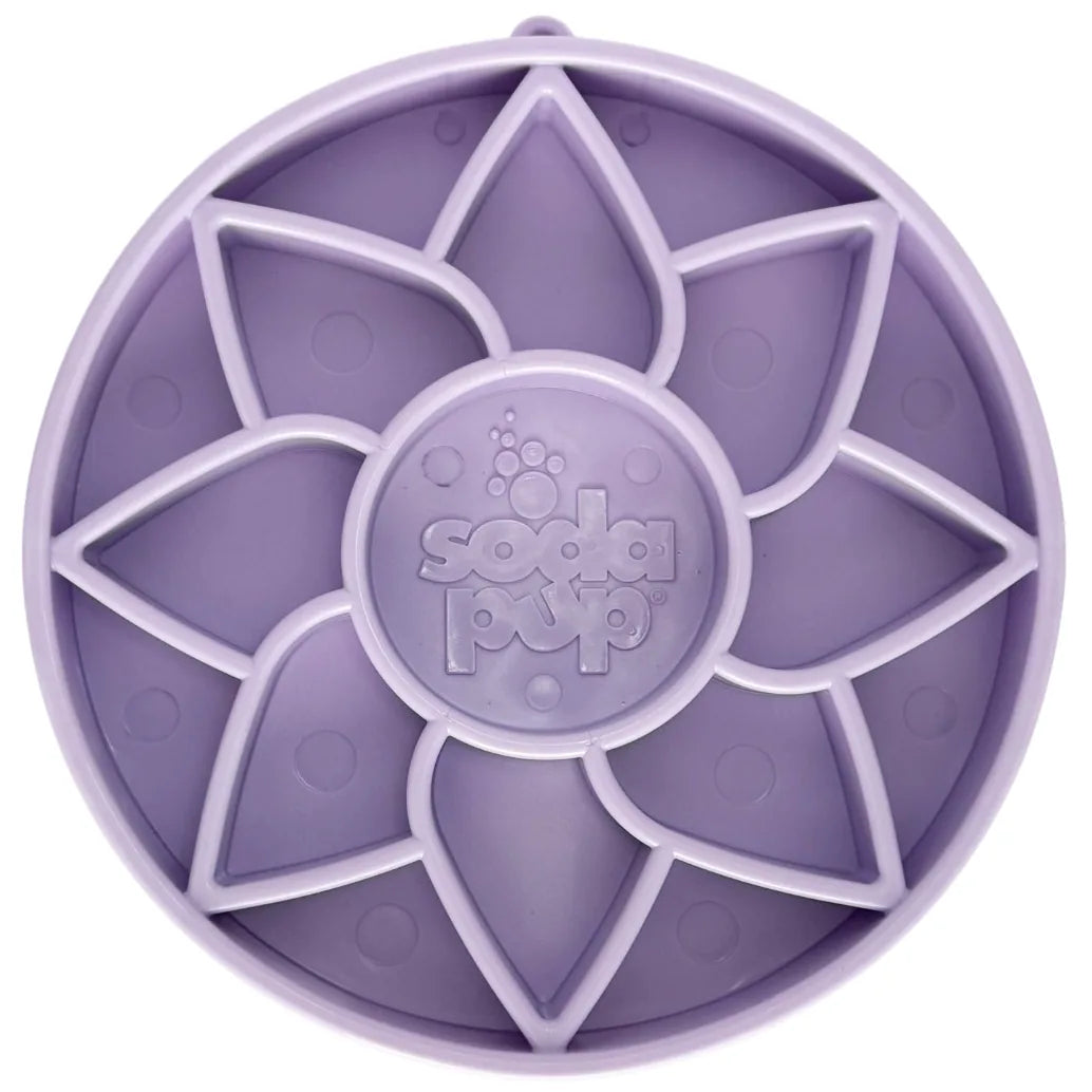 Gamelle anti-glouton rigide - Tournesol - Violet pastel