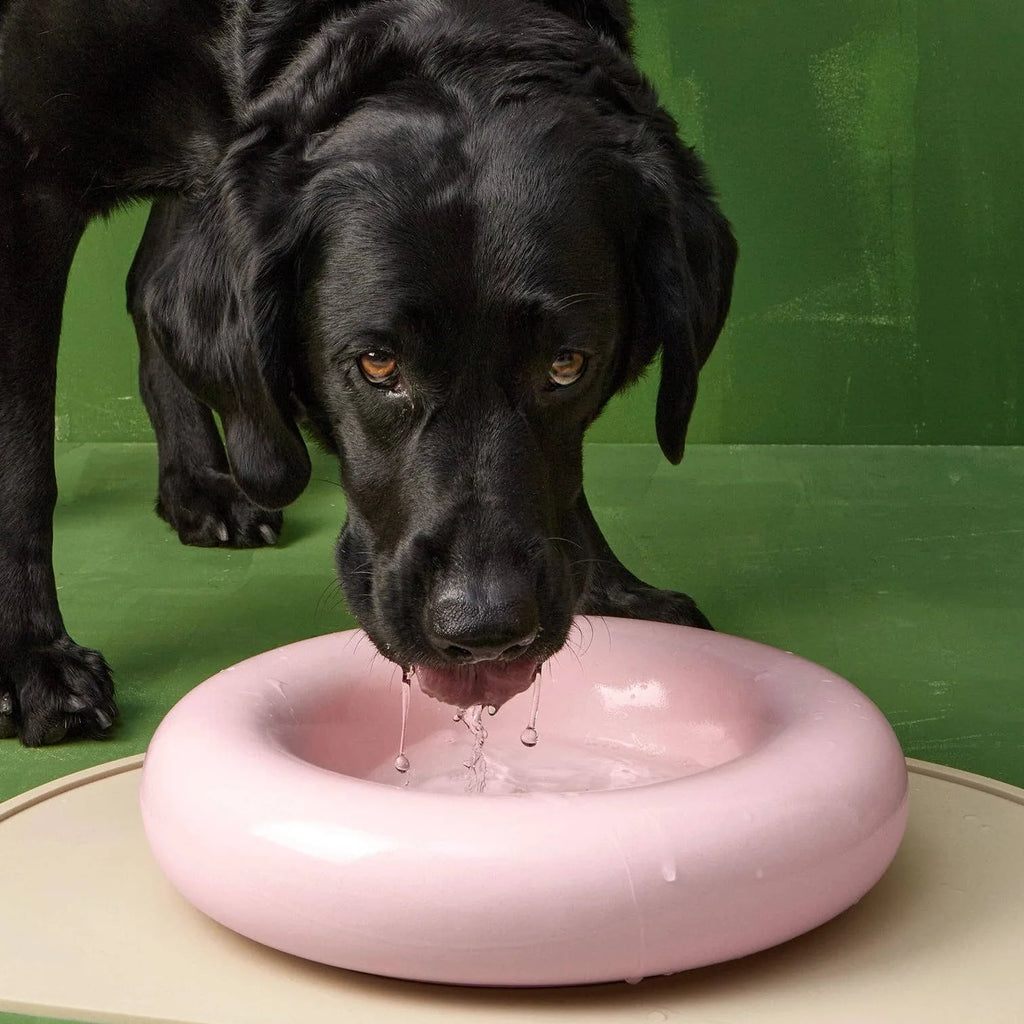 Gamelle en céramique rose pour chien