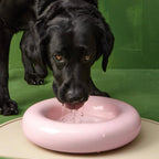 Gamelle en céramique rose pour chien