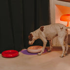 Gamelle en céramique rose pour chien
