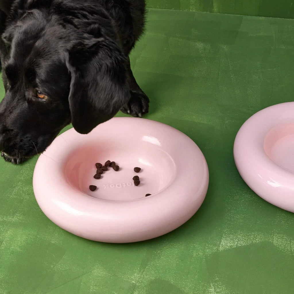 Gamelle en céramique rose pour chien