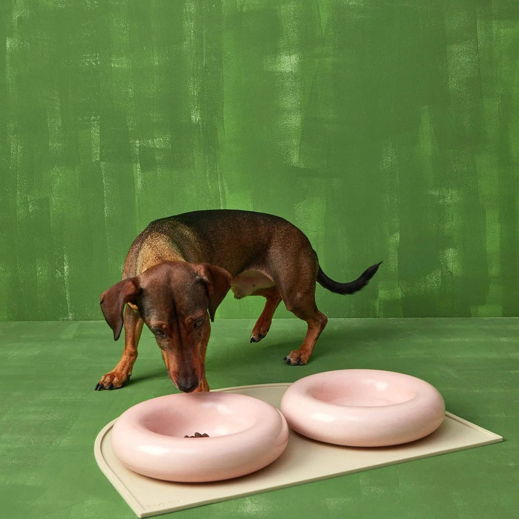 Gamelle en céramique rose pour chien