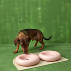 Gamelle en céramique rose pour chien