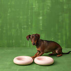 Gamelle en céramique rose pour chien