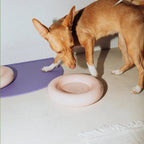Gamelle en céramique rose pour chien