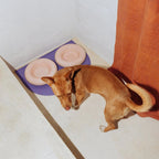 Gamelle en céramique rose pour chien