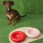 Gamelle en céramique rose pour chien