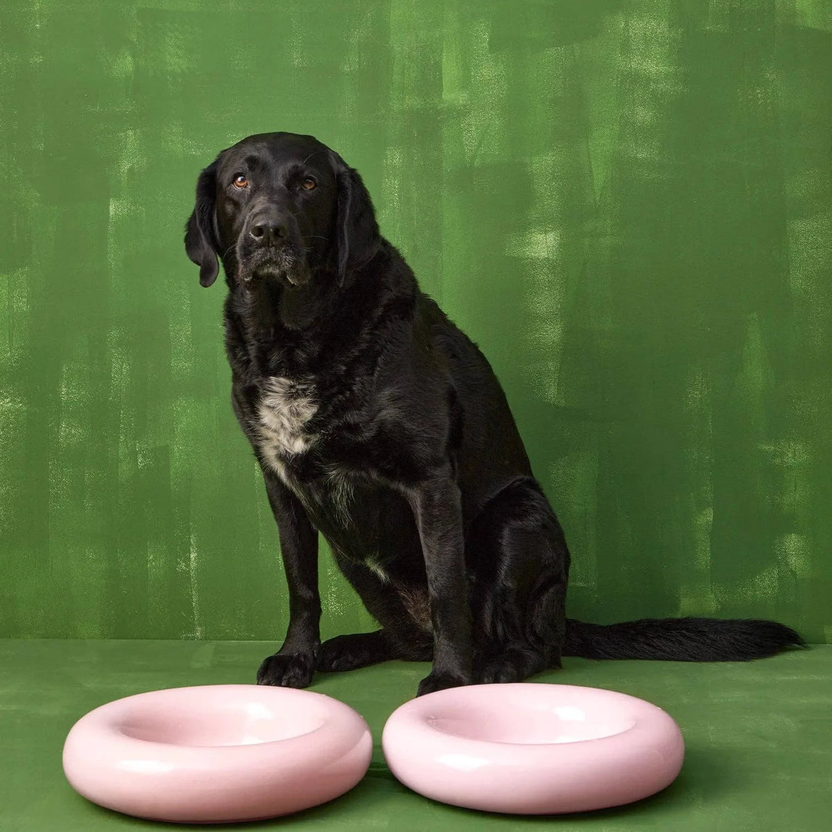 Gamelle en céramique rose pour chien