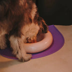 Gamelle en céramique rose pour chien