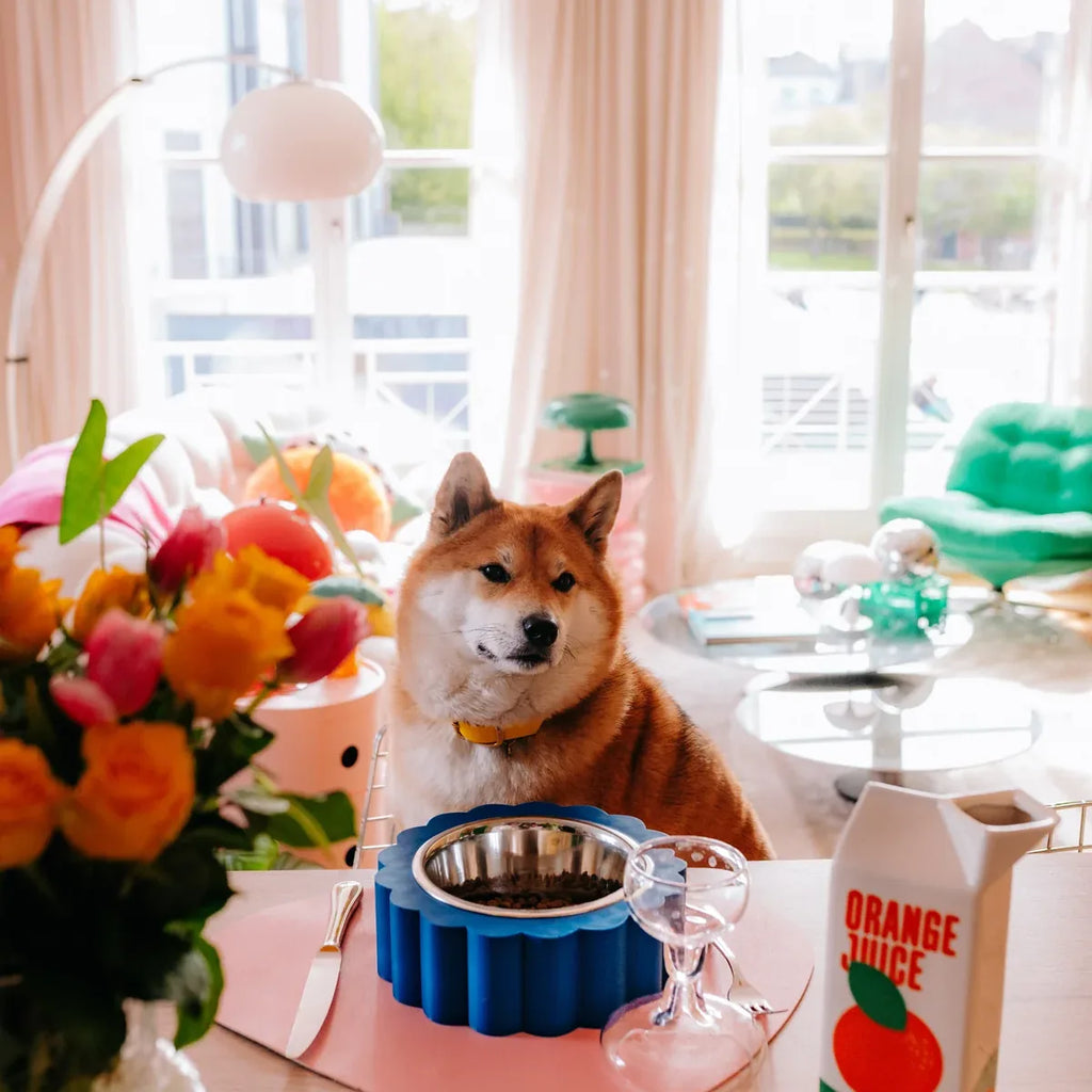 Gamelle pour chien - Fleur