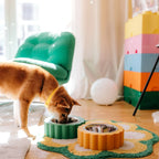 Gamelle pour chien - Fleur