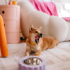 Gamelle pour chien - Fleur