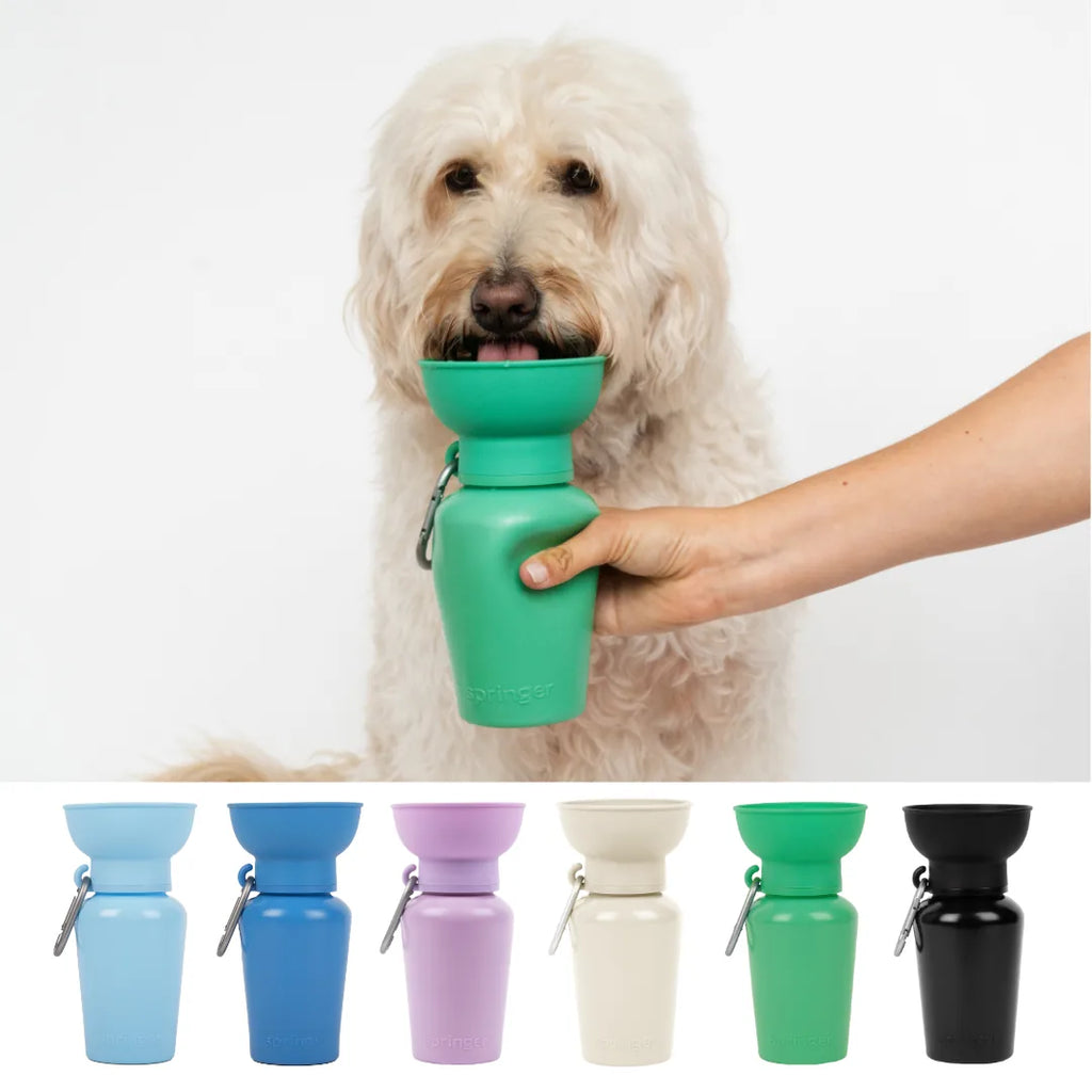 Gourde de voyage pliable marron pour chien