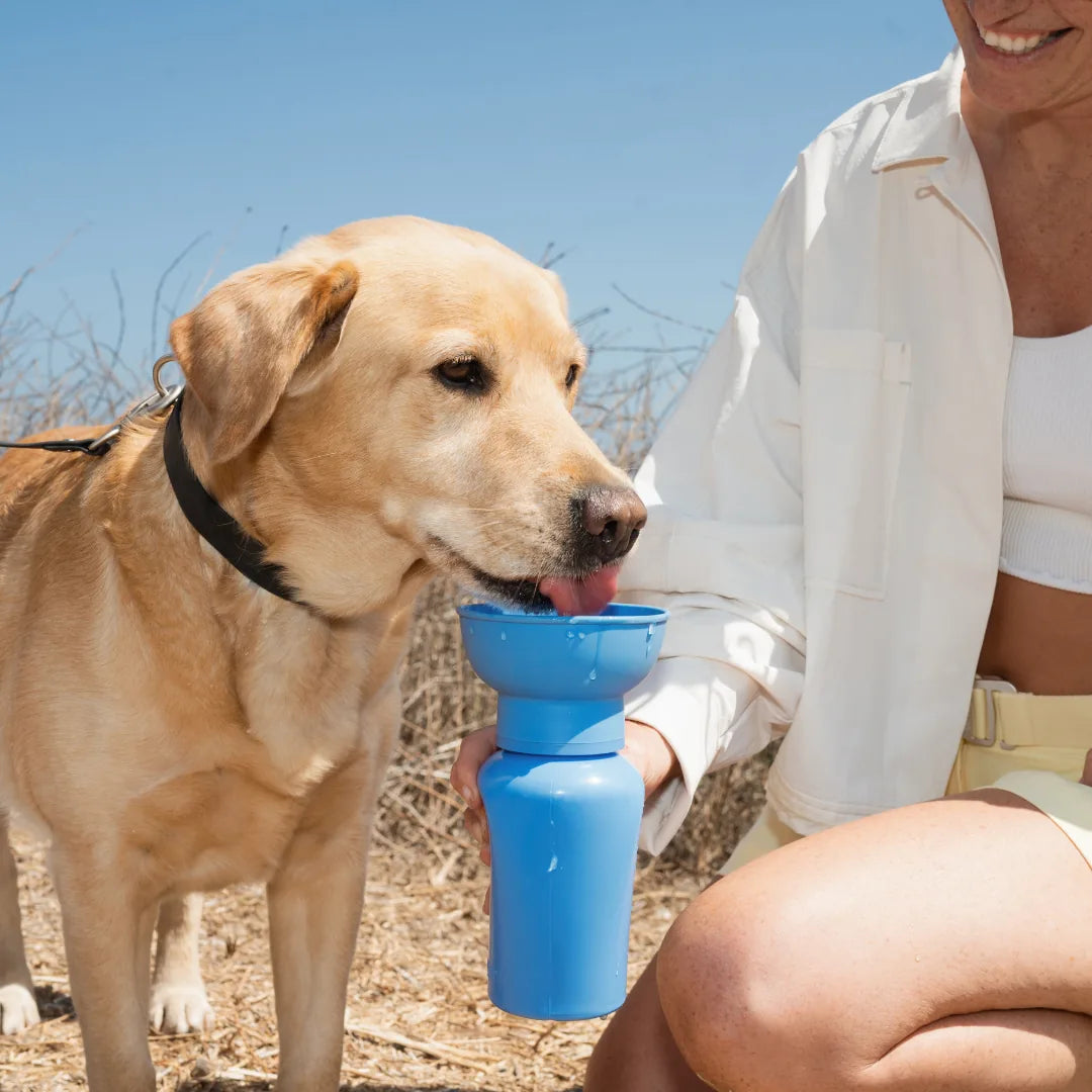 Gourde de voyage pliable bleu foncé pour chien
