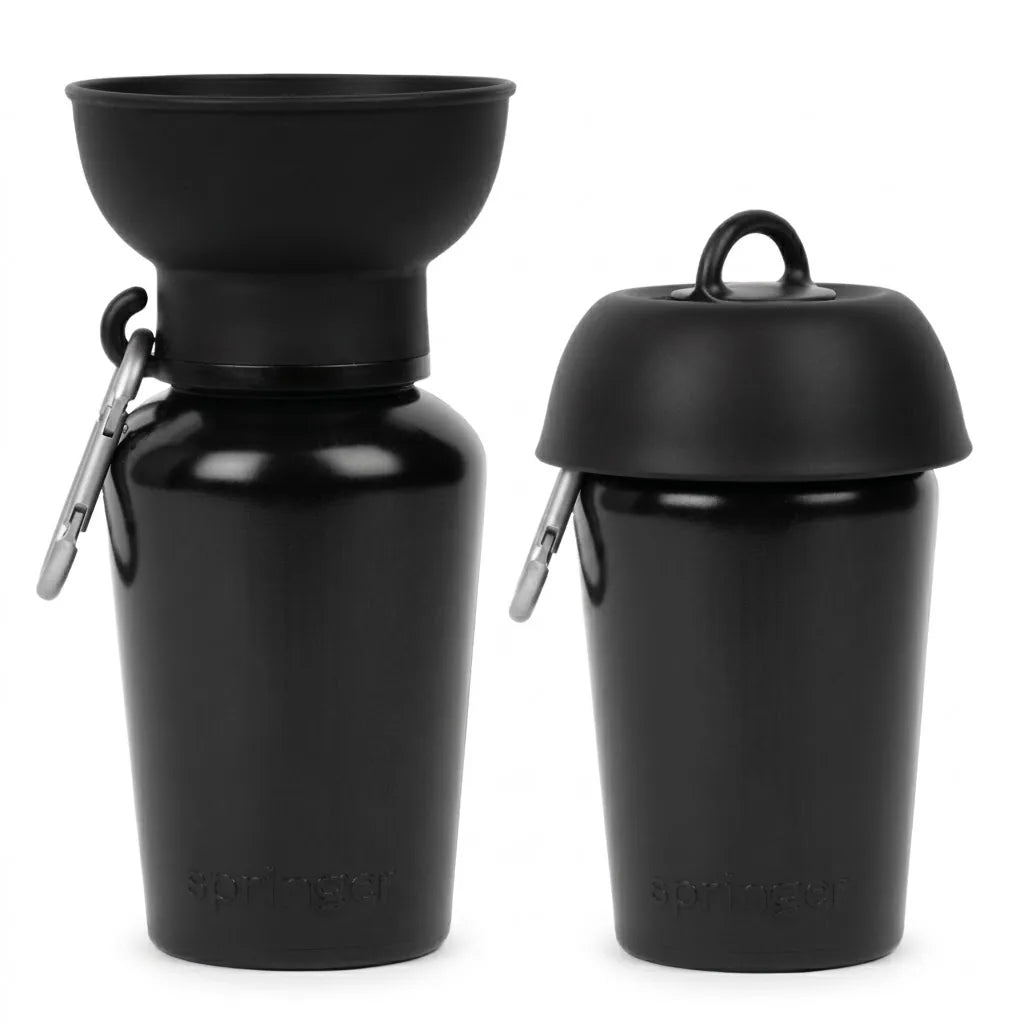 Gourde de voyage pliable noire pour chien