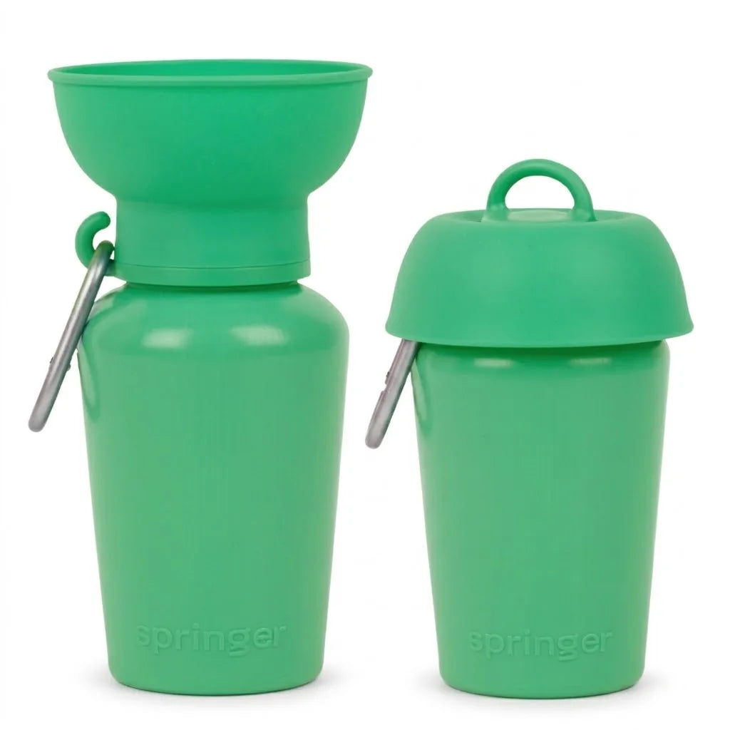 Gourde de voyage pliable verte pour chien
