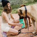 Gourde de voyage pliable verte pour chien