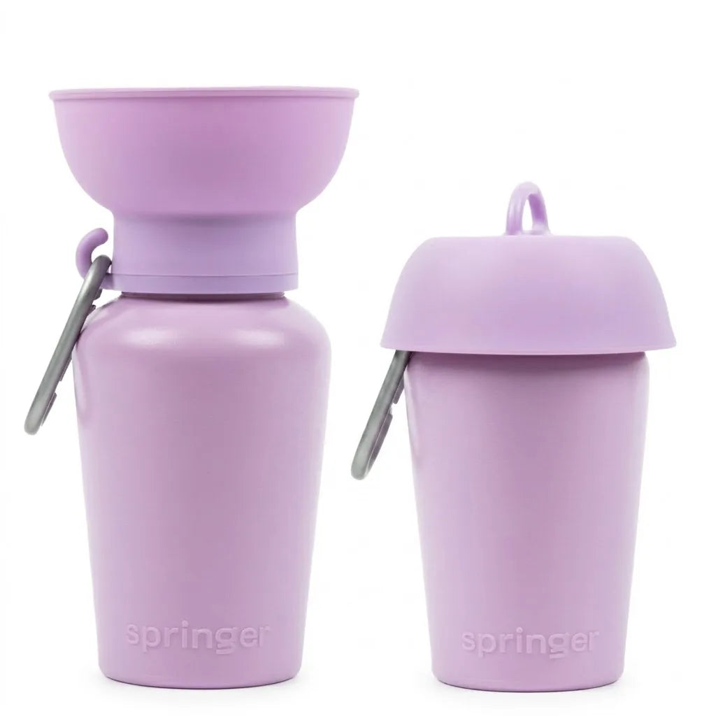 Gourde de voyage pliable violette pour chien