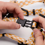 Harnais en damier orange